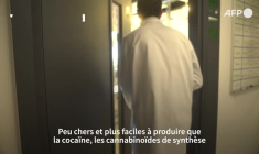 Enquête: flambée des "bad trips" liés au CBD trafiqué