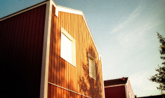 (Crédits photo : Unsplash - Mathias P.R. Reding )