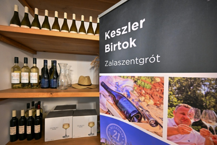 Des bouteilles de vin du producteur hongrois Viktor Keszler exposées sur des étagères de sa boutique, le 6 novembre 2025 à Zalaszentgrot, à environ 200 km à l'ouest de Budapest ( AFP / Attila KISBENEDEK )