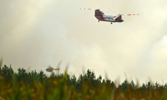Un hélicoptère bombardier d'eau CH-47D Chinook du Rural Fire Service (RFS) de Nouvelle-Galles du Sud (Australie) et un hélicoptère de la Sécurité civile française survolent la forêt de Luglon lors d'un incendie de forêt, le 14 août 2026 dans les Landes ( AFP / Gaizka IROZ )
