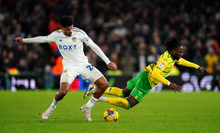Deux purges en playoffs d’accession au Championship
