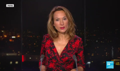 Jean-Philippe Foegle : "Si Julian Assange était extradé, toute personne qui révèle des informations pourrait l'être"