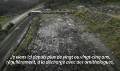 Hantavirus: mission scientifique à Ushuaïa sur la piste d'un éventuel rat vecteur