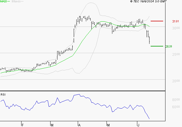 RUBIS : Surveiller le comportement des cours sur les supports