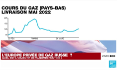 Gaz russe : le trouble jeu de Vladimir Poutine