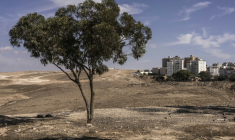 Des immeubles à Arad en Israël le 2 octobre 2026 ( AFP / JOHN WESSELS )