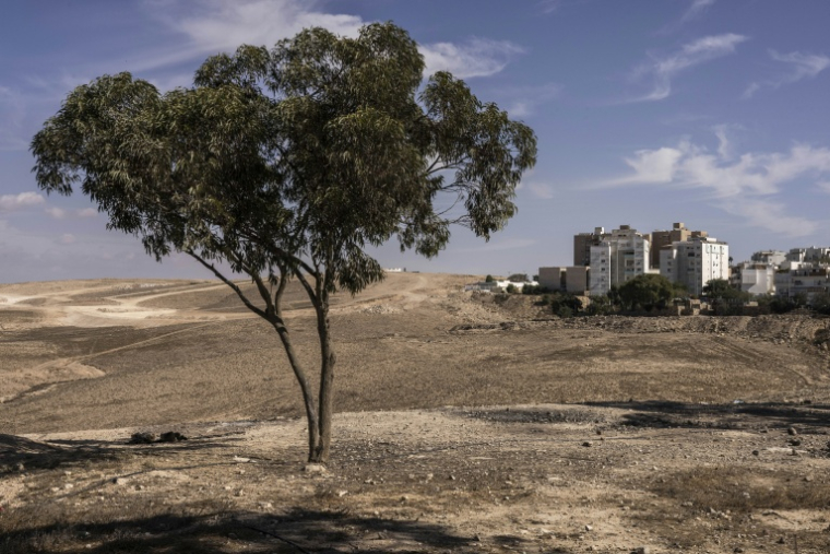 Des immeubles à Arad en Israël le 2 octobre 2026 ( AFP / JOHN WESSELS )