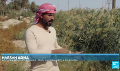 Irak : Bassora, ville sous tension en raison de la sécheresse et de l'exode rural