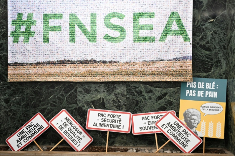 L'entrée des locaux de la FNSEA à Paris le 8 janvier 2026 ( AFP / Bertrand GUAY )