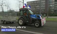 Coup d'arrêt pour le Mercosur: le Parlement européen saisit la justice de l'UE