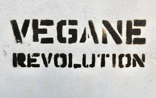 Quelques idées reçues sur le véganisme à présent