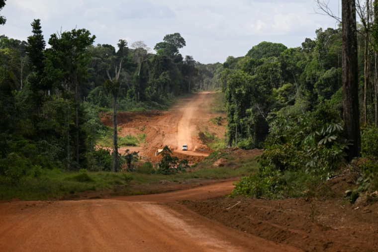 Un véhicule emprunte la route en terre reliant sur près de 500 km Georgetown, capitale du Guyana, à Lethem, dans le sud-ouest, à la frontière du Brésil, le 28 août 2025 ( AFP / Joaquin Sarmiento )
