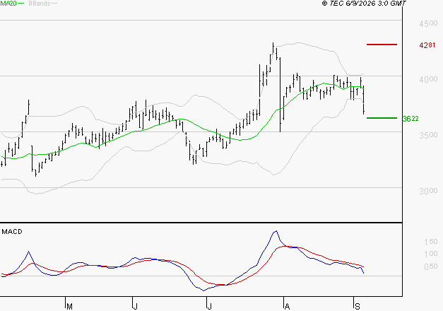 IPSOS : Une consolidation vers les supports est probable