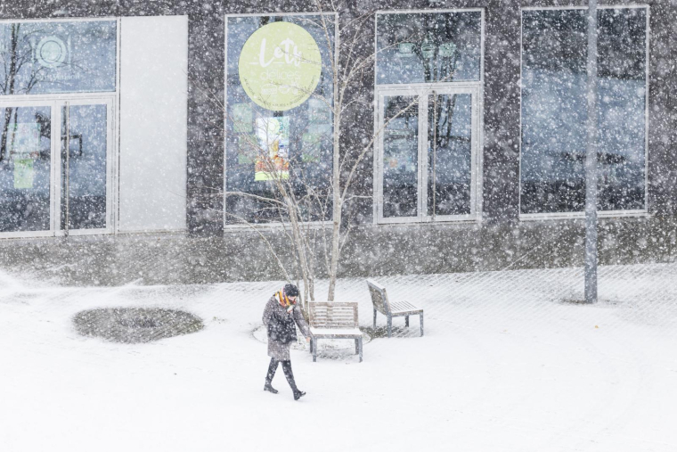 Dans les rues de Lille, le 3 décembre 2023 ( AFP / Sameer Al-DOUMY )