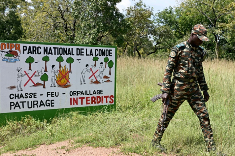Un garde forestier en patrouille dans le parc national de la Comoé, près du village de Bania, le 13 octobre 2025 dans le nord-est de la Côte d'Ivoire ( AFP / Issouf SANOGO )