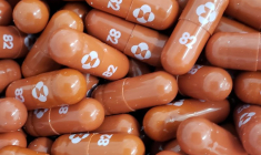 CORONAVIRUS: PREMIÈRE AUTORISATION POUR LA GÉLULE DE MERCK, EN GRANDE-BRETAGNE