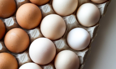 Les Français consomment désormais 226 œufs par an en moyenne, soit plus de quatre par semaine. Illustration.  (Moiranazzari / Pixabay)