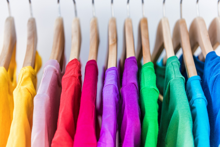 Rivalisez de couleurs avec le plus beau des perroquets