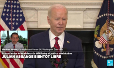 Julian Assange bientôt libre : "Ici aux Etats-Unis, l'affaire ne défraie pas la chronique"