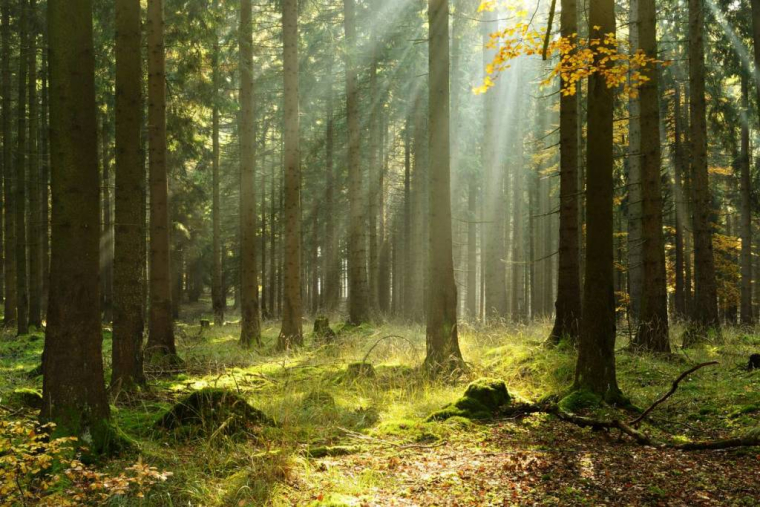 iStock-AVTG
