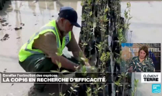 La COP16 en recherche d'efficacité pour enrailler l'effondrement de la biodiversité