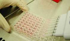 La biotech spécialisée dans la lutte contre le cancer a révélé une étude clinique décevante. (© Innate Pharma)