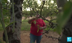 Mar Menor, la lagune espagnole en danger, devient une personnalité juridique