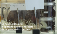 Chocolats de Pâques: les cloches s'envolent et les prix aussi
