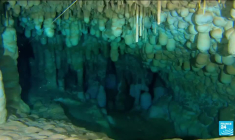 Sardaigne : découverte de la grotte de Neptune, une des plus grandes d'Italie