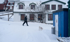 Une femme promène son chien dans le quartier du Vieux Nuuk, à Nuuk, au Groenland, le 16 janvier 2026 ( AFP / Alessandro RAMPAZZO )