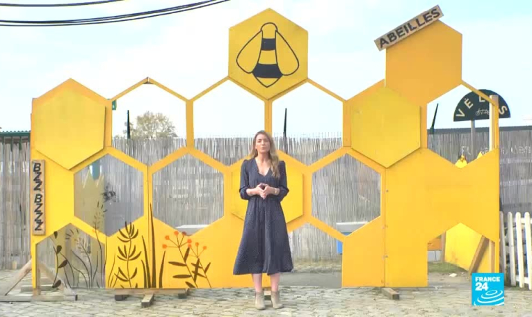 Paris : la famine des abeilles
