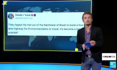 COP 30 : des arbres rasés pour une autoroute à Belem ?