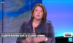 Alerte rouge sur le climat: août 2024, 15è mois d'affilé de record de température