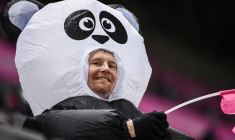 Deux pandas et trois tortues Ninja dans le parcage du SCO