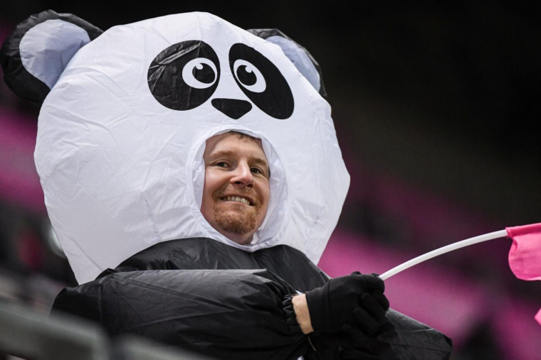 Deux pandas et trois tortues Ninja dans le parcage du SCO