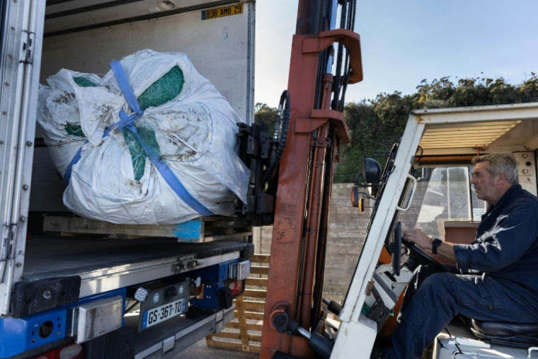 Des filets de pêche chargés dans un camion après avoir été collectés par l'association caritative française "Kernic Solidarités" pour être envoyés en Ukraine et utilisés comme protection contre les attaques de drones, dans le port de Roscoff, le 17 octobre 2025 dans le Finistère ( AFP / Fred TANNEAU )