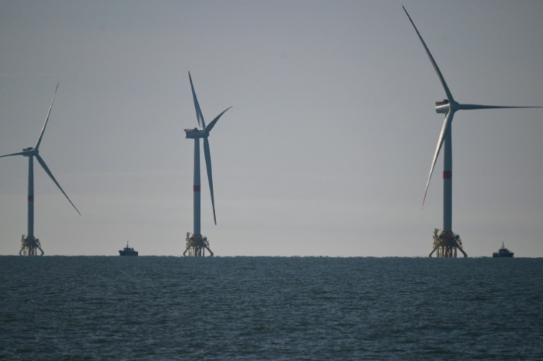 Des éoliennes au large de Port-de-Bouc, le 7 décembre 2023 dans les Bouches-du-Rhône ( AFP / Christophe SIMON )