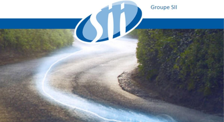 Le titre du groupe de services informatiques progresse de 35% sur un an. (© SII)