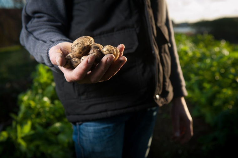(Crédits photo : Unsplash - Agence Producteurs Locaux Damien Kühn )