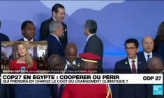 COP27 : "Un fossé entre les actes et les discours d'Emmanuel Macron" en matière d'environnement