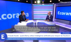 Fraude fiscale : quand Bercy utilise l'intelligence artificielle pour traquer les fraudeurs