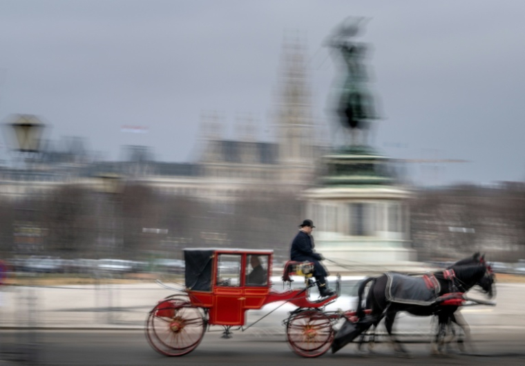 Des touristes font une promenade en calèche devant le palais impérial de la Hofburg, le 2 février 2026 à Vienne, en Autriche ( AFP / Joe Klamar )