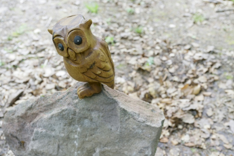 Une chouette en bois déposée par un "chouetteur" lors de la deuxième plus longue chasse au trésor jamais organisée, à Dabo en Moselle le 3 mai 2025 ( AFP / Jean-Christophe Verhaegen )