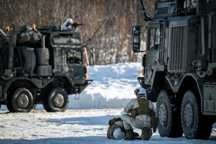 Des soldats dans une forêt lors de l’exercice militaire Cold Response de l’Otan, près de Setermoen, le 12 mars 2026 en Norvège ( AFP / John MACDOUGALL )