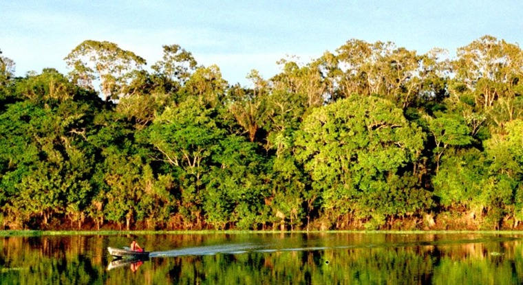 Les assurances vie devront proposer des fonds ISR à leurs clients. (© Amazonia)