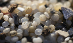 Des granulés plastiques industriels (GPI) échoués sur la plage de la Pineda, à Tarragone, en Catalogne, le 12 janvier 2024 ( AFP / Josep LAGO )