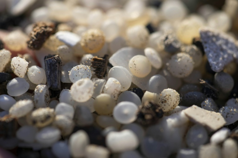 Des granulés plastiques industriels (GPI) échoués sur la plage de la Pineda, à Tarragone, en Catalogne, le 12 janvier 2024 ( AFP / Josep LAGO )