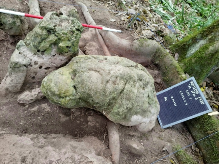 Cette photo non datée publiée par le ministère guatémaltèque de la Culture le 29 mai 2025 montre deux sculptures anthropomorphes qui "représentent un couple ancestral", découvertes sur le site archéologique d'Uaxactún, au Guatemala ( Guatemalan Ministry of Culture and Sports / Handout )