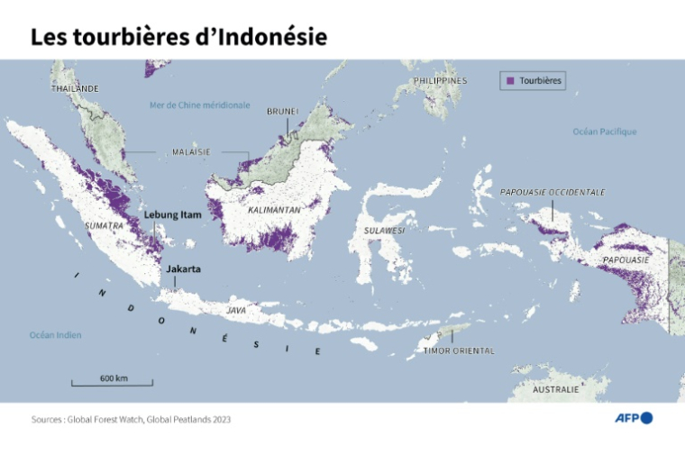 Carte localisant les tourbières en Indonésie ( AFP / John SAEKI )
