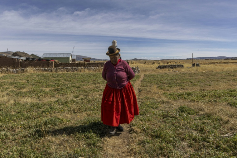 Dominga Quenta marche près de sa maison dans la communauté de Caritamaya, près du lac Titicaca, dans la région de Puno, au Pérou, le 30 mai 2026 ( AFP / Juan Carlos CISNEROS )